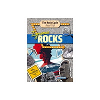Cheriton Children's Books Igneous Rocks (häftad, eng)