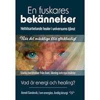 Anneli Sandevik En fuskares bekännelser (bok, storpocket)