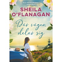 Sheila O'Flanagan Där vägen delar sig (bok, danskt band)