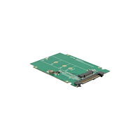 DeLOCK Delock Converter U.2 SFF-8639 > M.2 NGFF NVMe Key M - adapter för lagringsfack