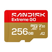 SANDISK SanDisk Extreme Go - flash-minneskort - 256 GB - microSDHC UHS-I