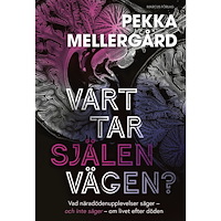 Pekka Mellergård Vart tar själen vägen? : Vad näradödenupplevelser säger – och inte säger – om livet efter döden (bok, kartonnage)