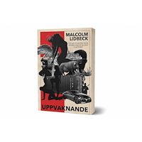 Malcolm Lidbeck Uppvaknande (häftad)