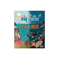 Hachette Children's Group A Day and Night: On a Coral Reef (häftad, eng)