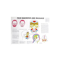 Jan Van Baarle Face Diagnosis and Massage (häftad, eng)