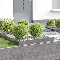 vidaXL Kant för gräsmatta 4 pcs 100 x 100 x 20 cm Stål Silver