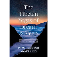 Tenzin Wangyal Rinpoche Tibetan Yogas of Dream and Sleep, The (häftad, eng)