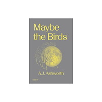 Goldsmiths, University of London Maybe the Birds (häftad, eng)