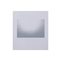 Roshin Books Trace of Fog (inbunden, eng)