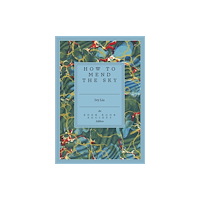 Dead Ink Books How to Mend the Sky (häftad, eng)