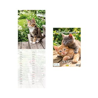Hjelm förlag Kattkalender 2027
