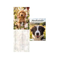 Hjelm förlag Hundkalender 2027
