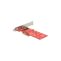 DeLOCK Delock PCI Express x4 Card > 1 x internal NVMe M.2 Key M 110 mm with heat sink - kontrollerkort - M.2 Card - PCIe 3.0 x4