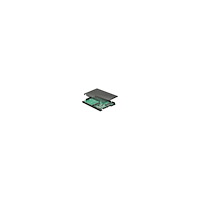 DeLOCK Delock 2.5" Converter SATA 22 pin > 1 x M.2 key B + 1 x mSATA - 9.5 mm - kontrollerkort - M.2 Card / mSATA - SATA 6Gb/s