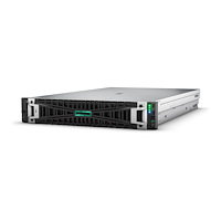 Hewlett Packard Enterprise HPE ProLiant DL380 Gen11 Network Choice - kan monteras i rack Xeon Silver 4510 2.4 GHz - 64 GB - HDD 2 x 8 TB