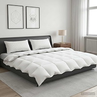 vidaXL Duntäcke FULDA 240 x 260 cm Vinter 300 GSM 90% Gåsdun Vit