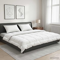 vidaXL Duntäcke TRIER 240x260 cm 4 årstider 220 GSM Vit Hypoallergen