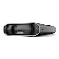 SANDISK SanDisk G-DRIVE, 26 TB, 3.2 Gen 2 (3.1 Gen 2), 7200 rpm, ros...