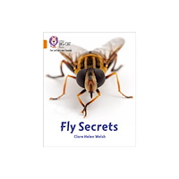 HarperCollins Publishers BIG CAT L&S - FLY SECRETS (häftad, eng)