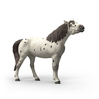 Schleich Schleich Knabstrupper Valack
