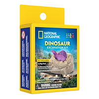 NATIONAL GEOGRAPHIC National Geographic Mini Dinosaurie Gräv Kit Sort.