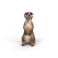 Schleich Schleich Surikat
