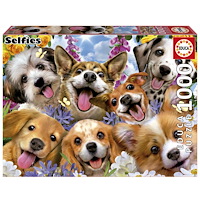 Educa Puzzle Educa 1000 Valpar selfie Howard Robinson