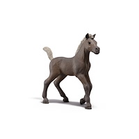 Schleich Schleich Samlarföl, Darcy