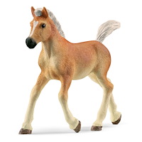 Schleich Schleich Haflinger-föl