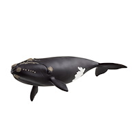 Schleich schleich® nordkapare