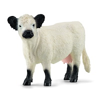 Schleich Schleich Galloway-boskap