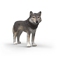 Schleich Schleich Amerikansk Varg
