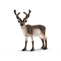 Schleich schleich® Ren