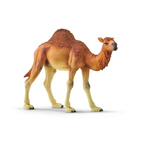 Schleich schleich® Dromedar