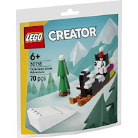 LEGO® LEGO® Creator 30718 Sněžné dobrodružství s Kočkou Vločkou