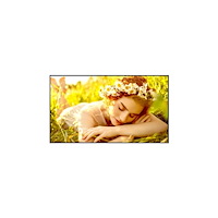 LG Electronics LG 50UL5Q-E UL5Q-E Series - 50" med integrerat Pro:Idiom LED-bakgrundsbelyst LCD-skärm - 4K - för digital skyltning