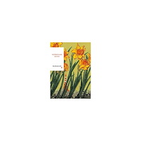 Haruki Murakami Norwegian Wood (pocket, eng)