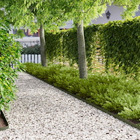 vidaXL Kant för gräsmatta 50 st 102 x 4 x 4 cm Stål Olivgrön