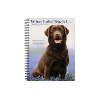 Willow Creek Press What Labs Teach Us 2027 Engagement (häftad, eng)