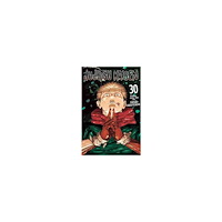 Gege Akutami Jujutsu Kaisen, Vol. 30 (häftad, eng)
