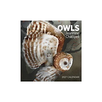 Pomegranate Europe Ltd Owls: Jeannine Chappell : 2027 Wall Calendar
