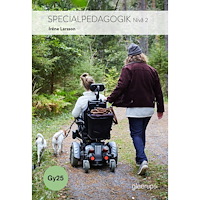 Irene Larsson Specialpedagogik 2, bok, Gy25 (häftad)