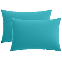 vidaXL Kuddöverdrag 2 st HEERLEN Turkos 30 x 50 cm Polyester