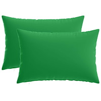 vidaXL Kuddöverdrag 2 st HEERLEN Grön 40 x 60 cm Polyester