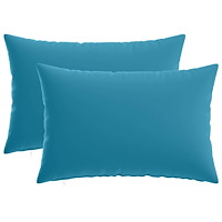 vidaXL Kuddöverdrag 2 st HEERLEN Ljusblå 50 x 75 cm Polyester