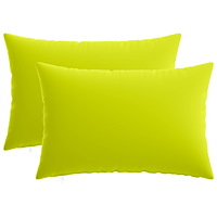 vidaXL Kuddöverdrag 2 st HEERLEN Klart grön. 50 x 80 cm Polyester