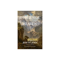 Morgan James Publishing llc The Other Side of Heaven  A Novel (häftad, eng)