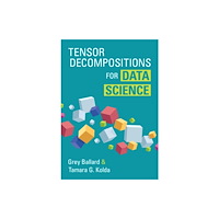 Cambridge University Press Tensor Decompositions for Data Science (inbunden, eng)