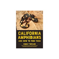 Heyday Books California Amphibians and How to Find Them (häftad, eng)