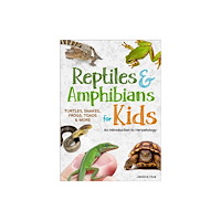 Adventure Publications, Incorporated Reptiles & Amphibians for Kids (häftad, eng)
